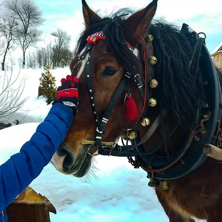 Pocztowka Z Mizernej, Drewniane Domki, Widok Na Tatry, Blisko Velo Czorsztyn, Jezioro Czorsztynskie, Rowery, Spokojna Okolica Lodge