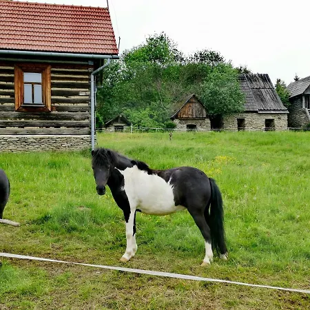 Pocztowka Z Mizernej, Drewniane Domki, Widok Na Tatry, Blisko Velo Czorsztyn, Jezioro Czorsztynskie, Rowery, Spokojna Okolica * Kluszkowce