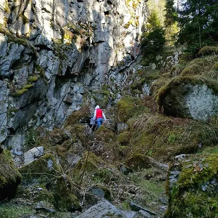 Lodge Pocztowka Z Mizernej, Drewniane Domki, Widok Na Tatry, Blisko Velo Czorsztyn, Jezioro Czorsztynskie, Rowery, Spokojna Okolica *
