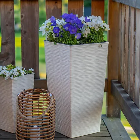 Pocztowka Z Mizernej, Widok Na Tatry, Kominek, Gorka Na Sanki, Blisko Jeziora I Stoku Narciarskiego Kluszkowce