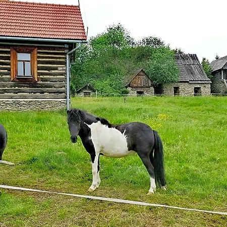 Pocztówka Z Mizernej, Z Widokiem Na Góry, Potok, 1 Km Od Velo Czorsztyn, Jezioro Czorsztyńskie, Rowery, Blisko Natury, Spokojnie Alojamento de Turismo Selvagem *