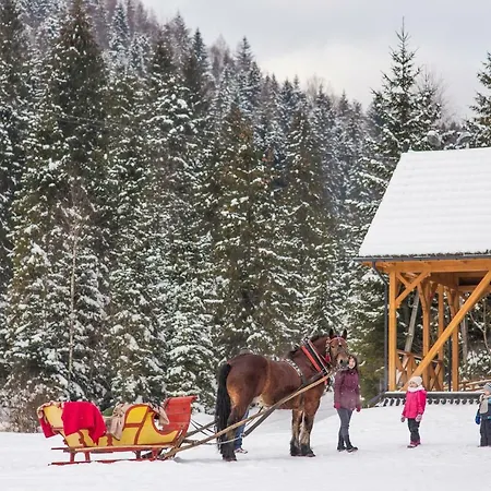 Pocztowka Z Mizernej, Drewniane Domki, Widok Na Tatry, Blisko Velo Czorsztyn, Jezioro Czorsztynskie, Rowery, Spokojna Okolica Lodge *